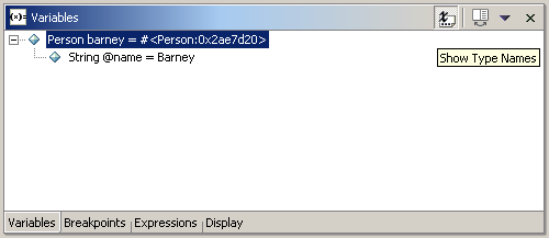 Variables View with type names mode on